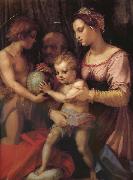 Andrea del Sarto Holy family and younger John oil painting on canvas